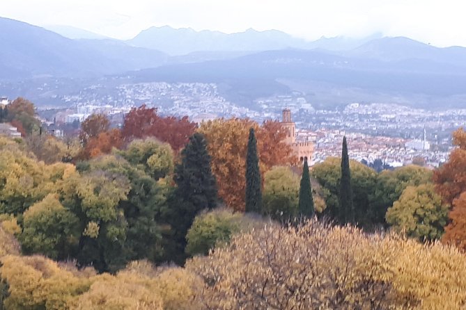 Alhambra Tour :Generalife Gardens ,Palaces and towers.Skiptheline - Meeting at Restaurante La Mimbre