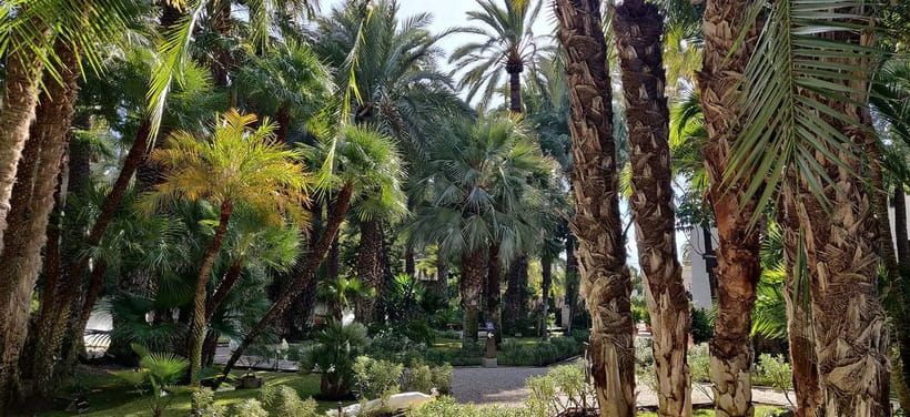 Alicante: UNESCO Heritage Palm grove + Artistic Garden Tour - What the small BMW transfer adds