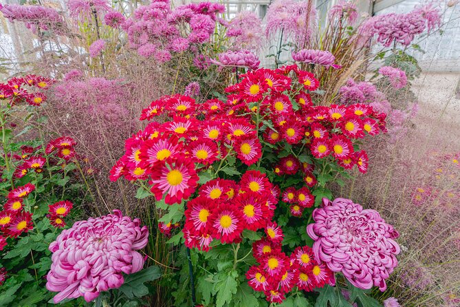 All-Garden Pass for the New York Botanical Garden - Take the Forest Walk for a Quieter Hour