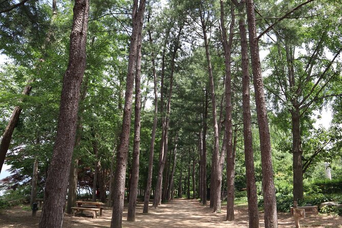 Alpaca, Nami, Petite Fr, Italian Village, Garden of Morning Calm - What this Seoul day tour is really trying to do