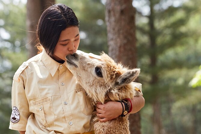 Alpaca World & Nami Island & Garden of Morning Calm One Day Tour - Alpaca World: the day’s most personal animal encounter