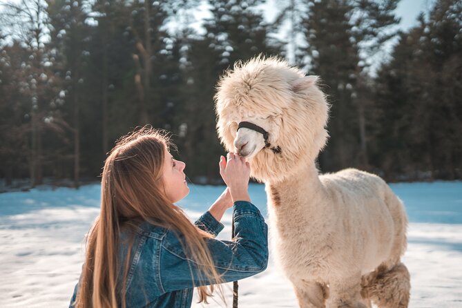 Alpaca World & Nami Island & Garden of Morning Calm One Day Tour - Garden of Morning Calm: the most restful two hours
