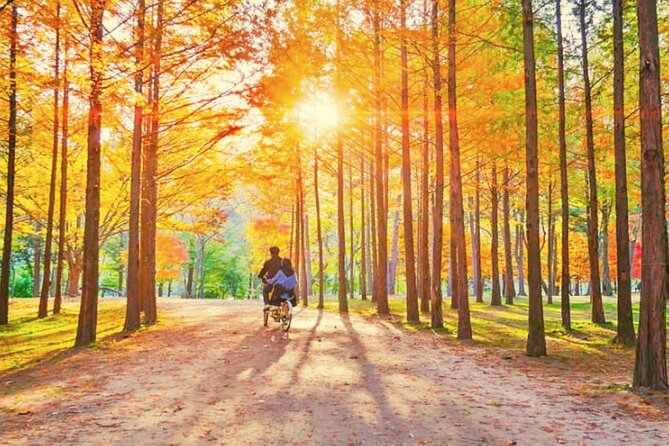 Alpaca World & Nami Island & Garden of Morning Calm One Day Tour - Lunch, transport, and what to pack