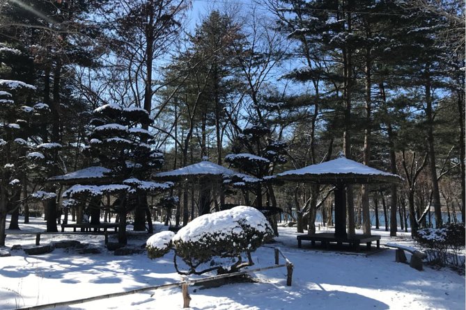 Alpaca World & Nami Island & Garden of Morning Calm One Day Tour - Is $78.52 good value?