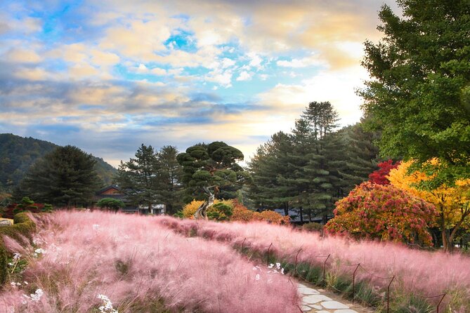 Alpaca World Tour with Nami Island (optional Railbike or Garden) - Gangchon Rail Park: scenery with a little effort