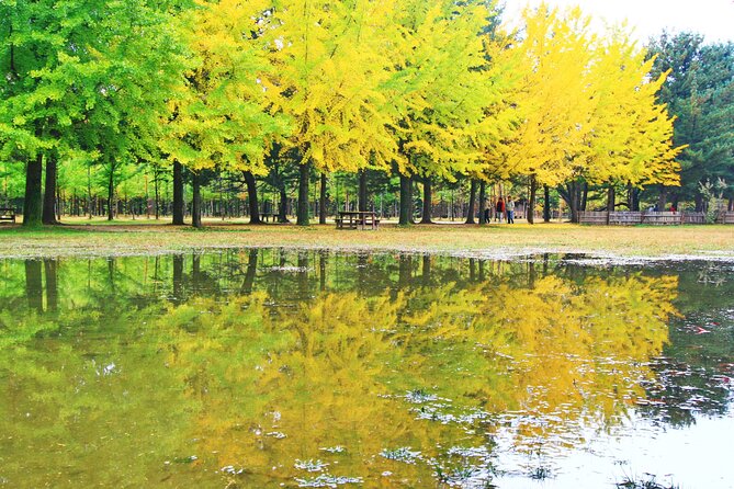 Alpaca World Tour with Nami Island (optional Railbike or Garden) - The Garden of Morning Calm in daylight and winter