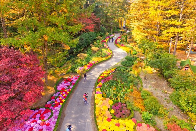 Alpaca World Tour with Nami Island (optional Railbike or Garden) - The Stay Healing Park and the winter light route