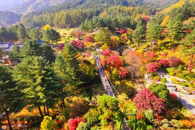 Alpaca World Tour with Nami Island (optional Railbike or Garden) - Five packages, five different levels of intensity