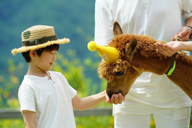 Alpaca World Tour with Nami Island (optional Railbike or Garden) - Nami Island: tree-lined roads and a short lunch break
