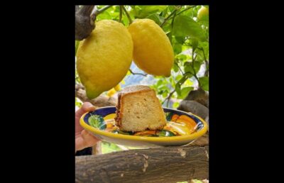 Amalfi Organic Lemon Tour & Tasting in the Historical Garden