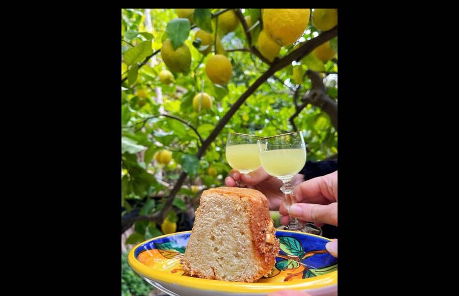 Amalfi Organic Lemon Tour & Tasting in the Historical Garden - Is $59 a fair price?