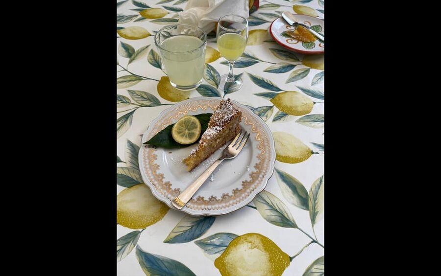 Amalfi Organic Lemon Tour & Tasting in the Historical Garden - Who should book this experience?