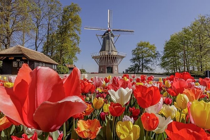 Amsterdam Airport (AMS) Transfer to Amsterdam/Rotterdam/Keukenhof - Luggage rules are stricter than they first appear