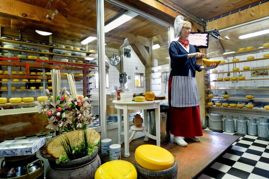 Amsterdam: Day Tour Keukenhof and Zaanse Schans Windmills - The day at a glance