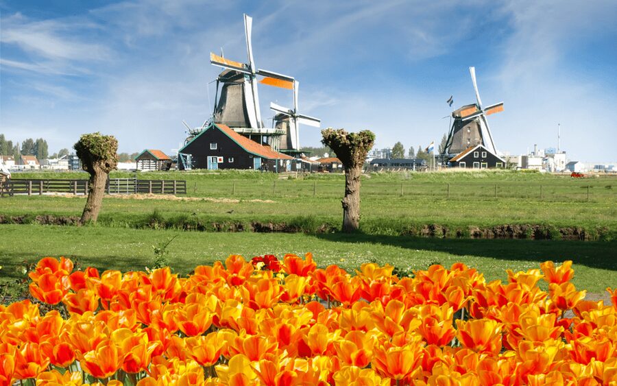 Amsterdam: Day Tour Keukenhof and Zaanse Schans Windmills - Why this two-stop day works