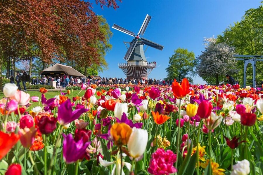 Amsterdam: Day Tour Keukenhof and Zaanse Schans Windmills - Is $72 a fair price?