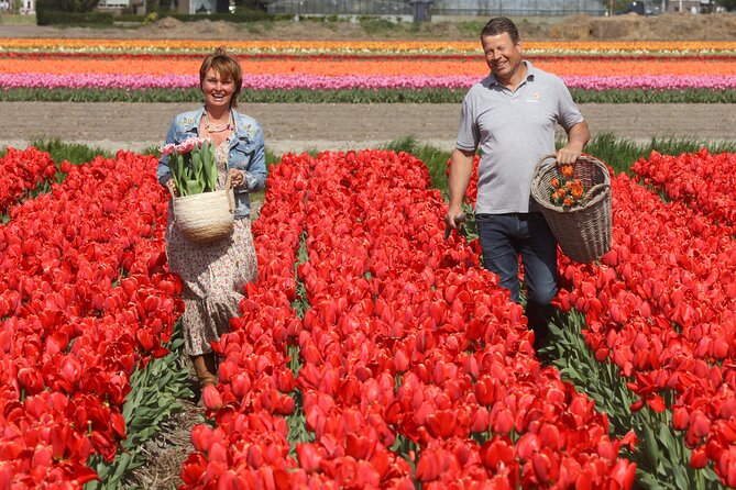 Amsterdam: Day trip to Tulip Farm, Keukenhof + Windmill Cruise - Meeting the tulip farmers at De Tulperij
