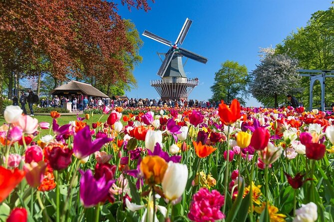 Amsterdam: Day trip to Tulip Farm, Keukenhof + Windmill Cruise - Four hours inside Keukenhof Gardens