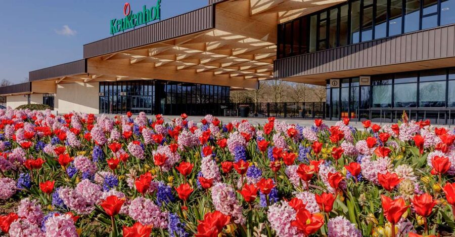 Amsterdam: Half-Day Flower Fields and Keukenhof Bicycle Tour - Why combine the bulb fields with Keukenhof?