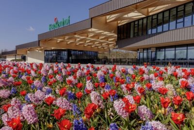 Half-Day Flower Fields and Keukenhof Bicycle Tour