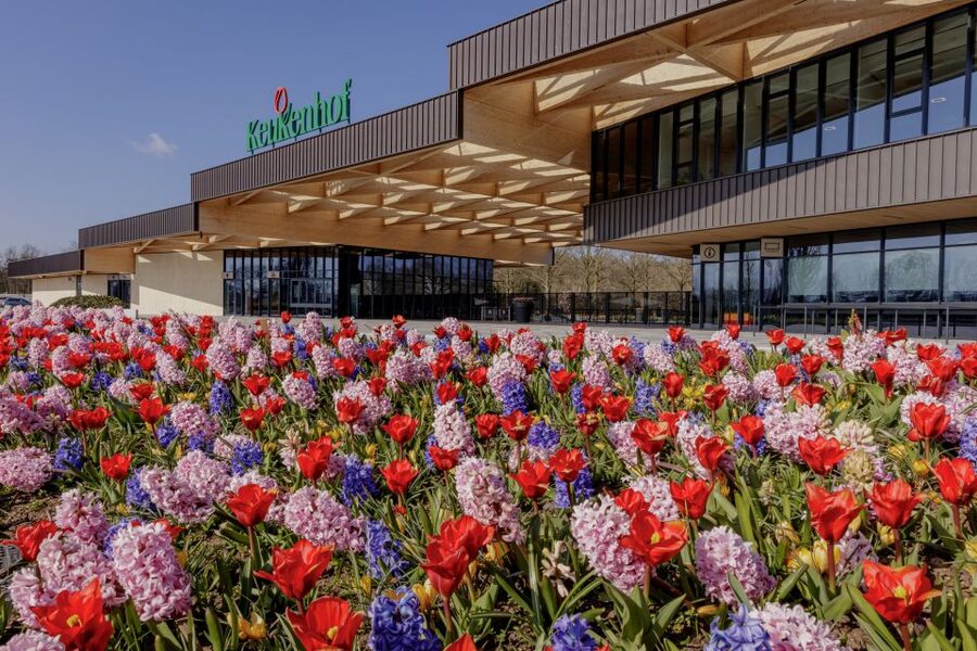 Amsterdam: Half-Day Flower Fields and Keukenhof Bicycle Tour - Meeting at Amsterdam Central Station