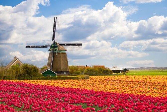 Amsterdam: Keukenhof and Zaanse Schans Windmills Guided Day Trip - Keukenhof: three and a half hours among spring bulbs