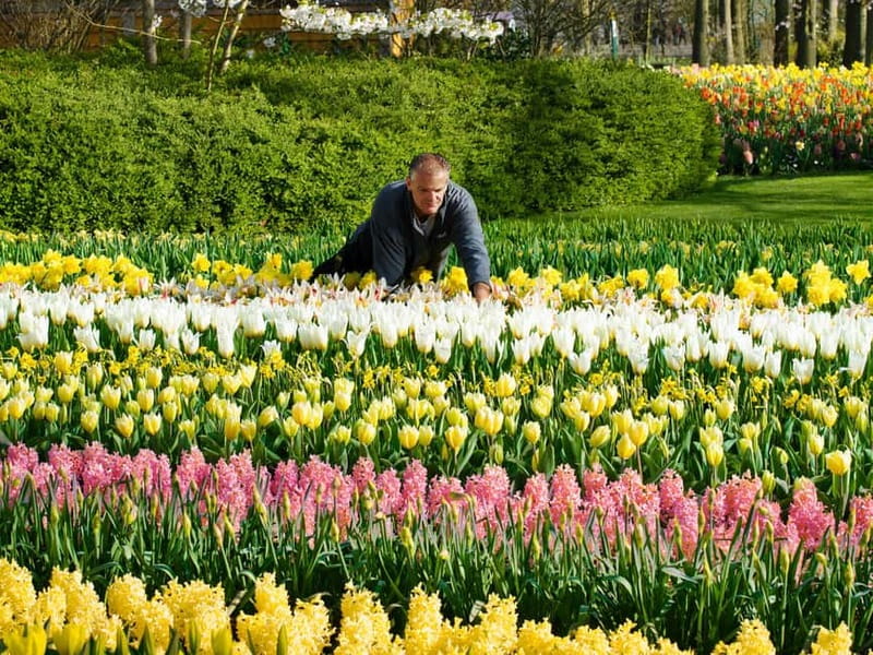 Amsterdam: Keukenhof Entry & Shuttlebus with Flexible Return - Key points at a glance