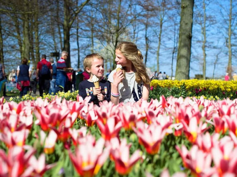 Amsterdam: Keukenhof Entry & Shuttlebus with Flexible Return - Why this Keukenhof trip works so well