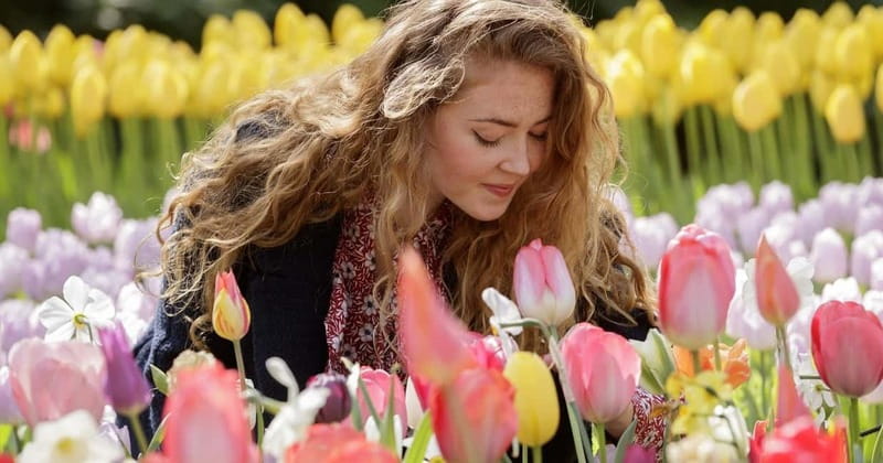 Amsterdam: Keukenhof Entry & Shuttlebus with Flexible Return - Entering Keukenhof with your ticket ready
