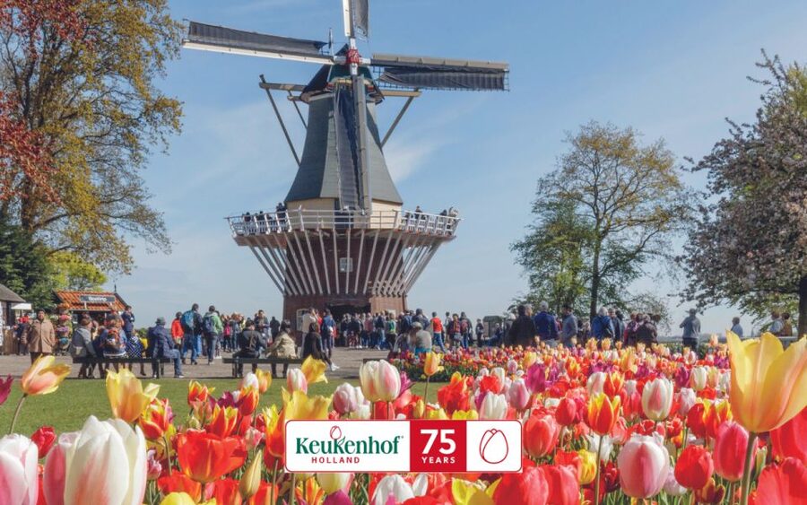 Amsterdam: Keukenhof Entry & Shuttlebus with Flexible Return - Choosing the best time for flowers