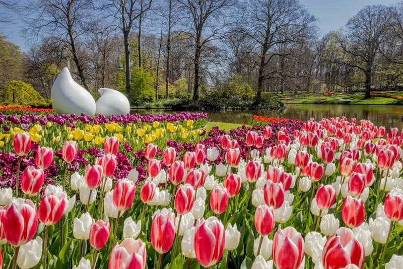Amsterdam: Keukenhof Entry & Shuttlebus with Flexible Return - Staying as long as you want