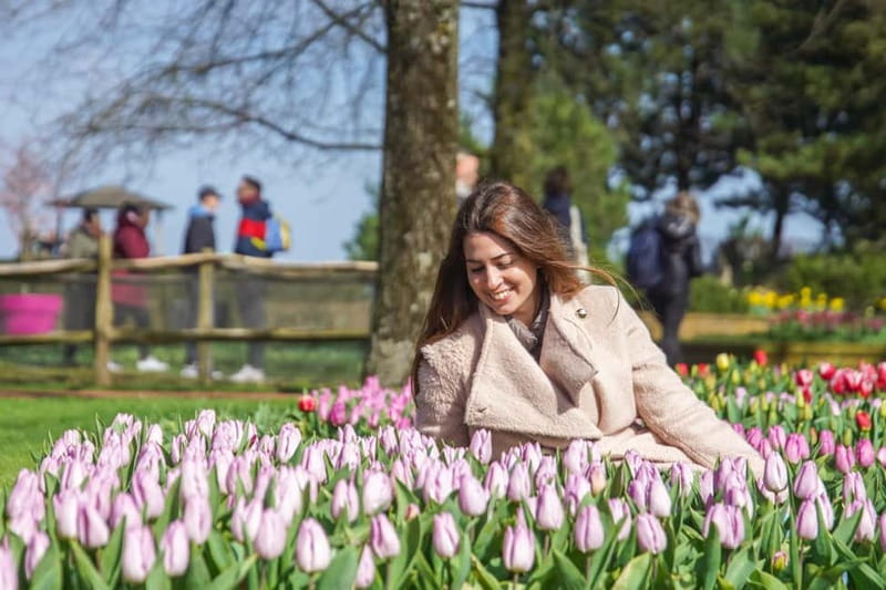 Amsterdam: Keukenhof Entry & Shuttlebus with Flexible Return - Who should book this Keukenhof shuttle