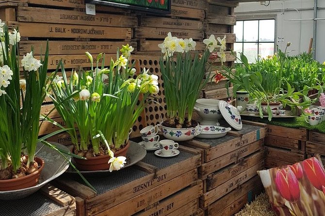 Amsterdam : Keukenhof FlowerFarm Privatetour Skip-The-Line ticket - Optional Noordwijk: a North Sea finish