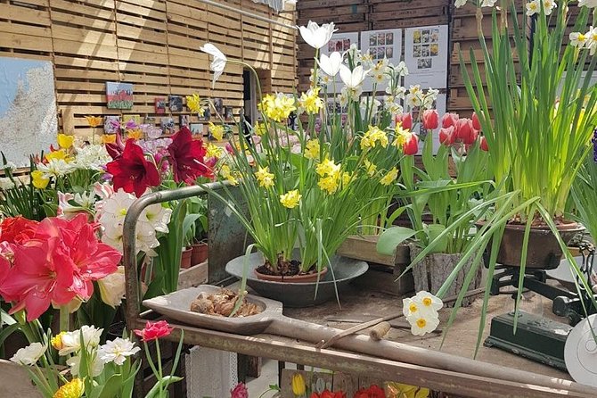 Amsterdam : Keukenhof FlowerFarm Privatetour Skip-The-Line ticket - Who gets the most value from this tour?