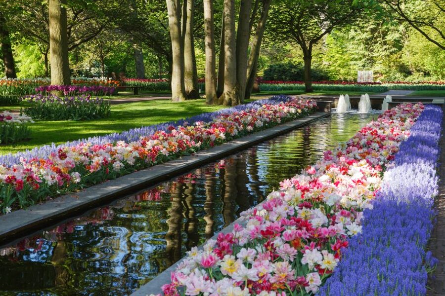 Amsterdam: Keukenhof Gardens Guided Tour Spanish and English - Key points to know before booking