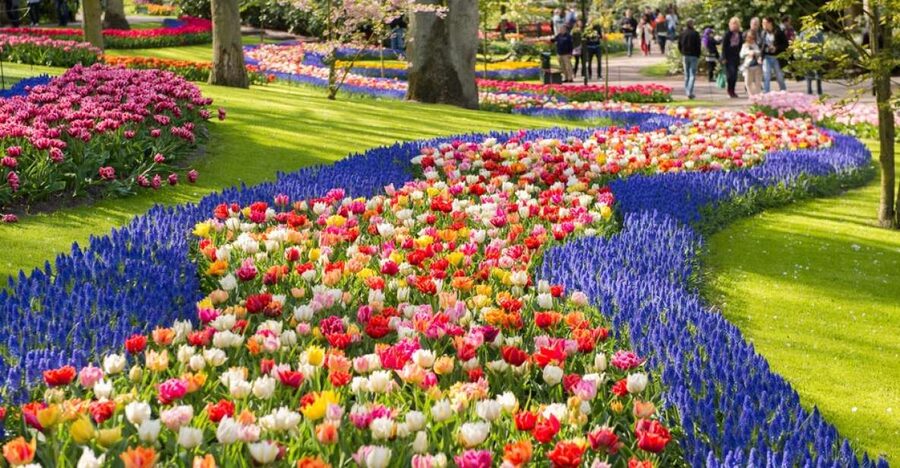 Amsterdam: Keukenhof Gardens Guided Tour Spanish and English - What the guide adds, and where caution is needed