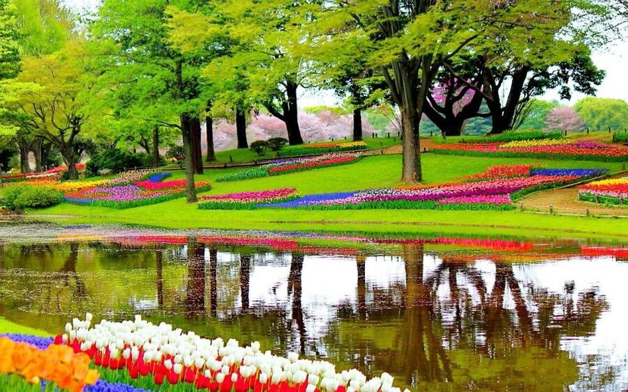 Amsterdam: Keukenhof Gardens Private Sightseeing Tour - Exploring the gardens without an in-park guide