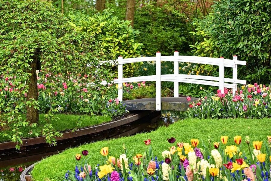 Amsterdam: Keukenhof Gardens Private Sightseeing Tour - Timing, weather, and what to bring