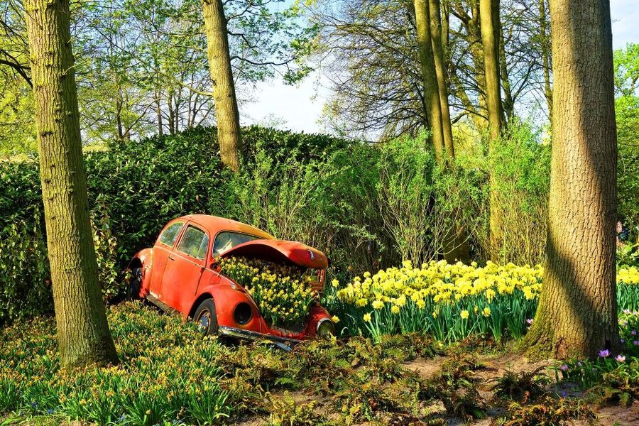 Amsterdam: Keukenhof Gardens Private Sightseeing Tour - What makes Keukenhof worth the seasonal trip