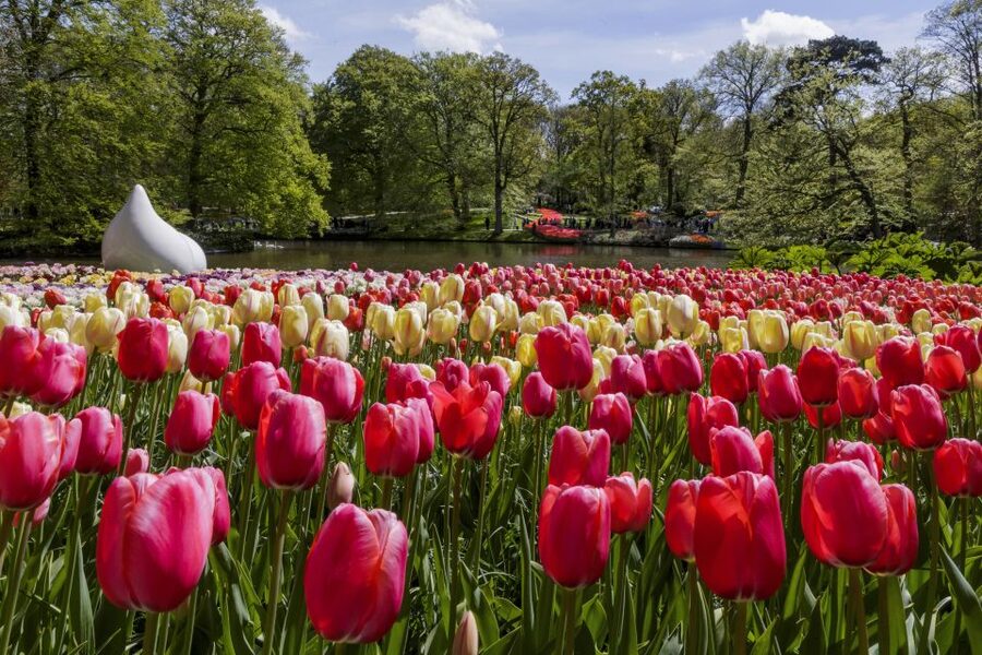 Amsterdam: Keukenhof Ticket with Shuttle Bus + Canal Cruise - Entering Keukenhof’s 32 hectares of flowers