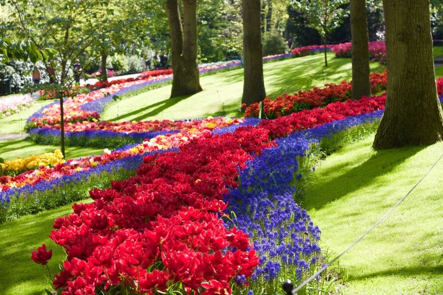 Amsterdam: Keukenhof Ticket with Shuttle Bus + Canal Cruise - Cruising Amsterdam’s canals