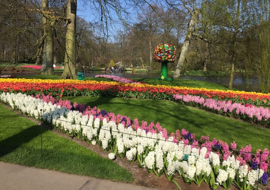 Amsterdam: Keukenhof Tulip Garden and Giethoorn Experience - The Big Picture: Two Dutch Highlights, One Long Day