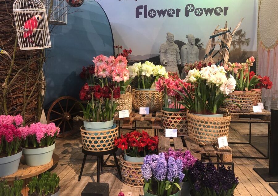 Amsterdam: Keukenhof Tulip Garden and Giethoorn Experience - Giethoorn by Boat and on Foot