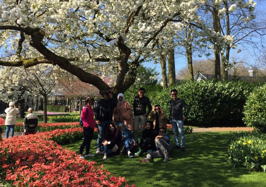 Amsterdam: Keukenhof Tulip Garden and Giethoorn Experience - Weather, Walking, and Practical Comfort