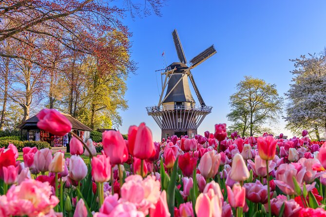 Amsterdam: Keukenhof, Zaanse Schans & Volendam Tour - Key points at a glance