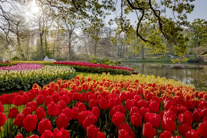 Amsterdam: Keukenhof, Zaanse Schans & Volendam Tour - Timing, crowds, and the best month to go