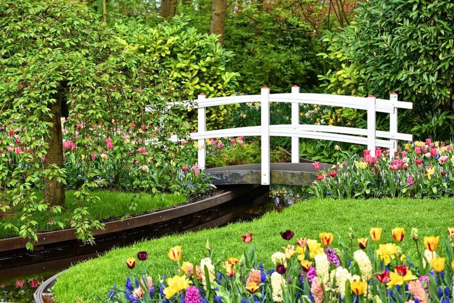 Amsterdam: Keukenhof & Zaanse Schans Windmills Private Tour - Who will enjoy this day most