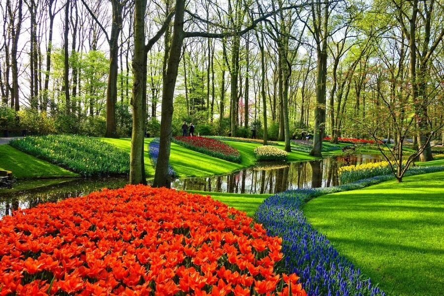 Amsterdam: Keukenhof & Zaanse Schans Windmills Private Tour - Practical tips for making the day work