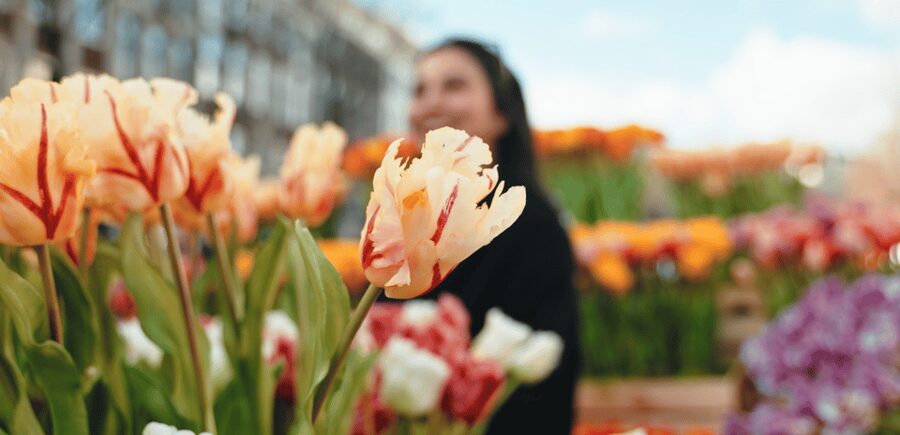 Amsterdam: Premium Tulip Boat Canal Tour - Photography: the real reason to choose this cruise