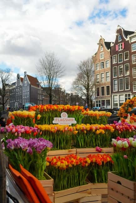 Amsterdam: Premium Tulip Boat Canal Tour - Rain, cover, and the no-toilet rule